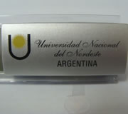 (Art. R61) Universidad Nacional del Nordeste
